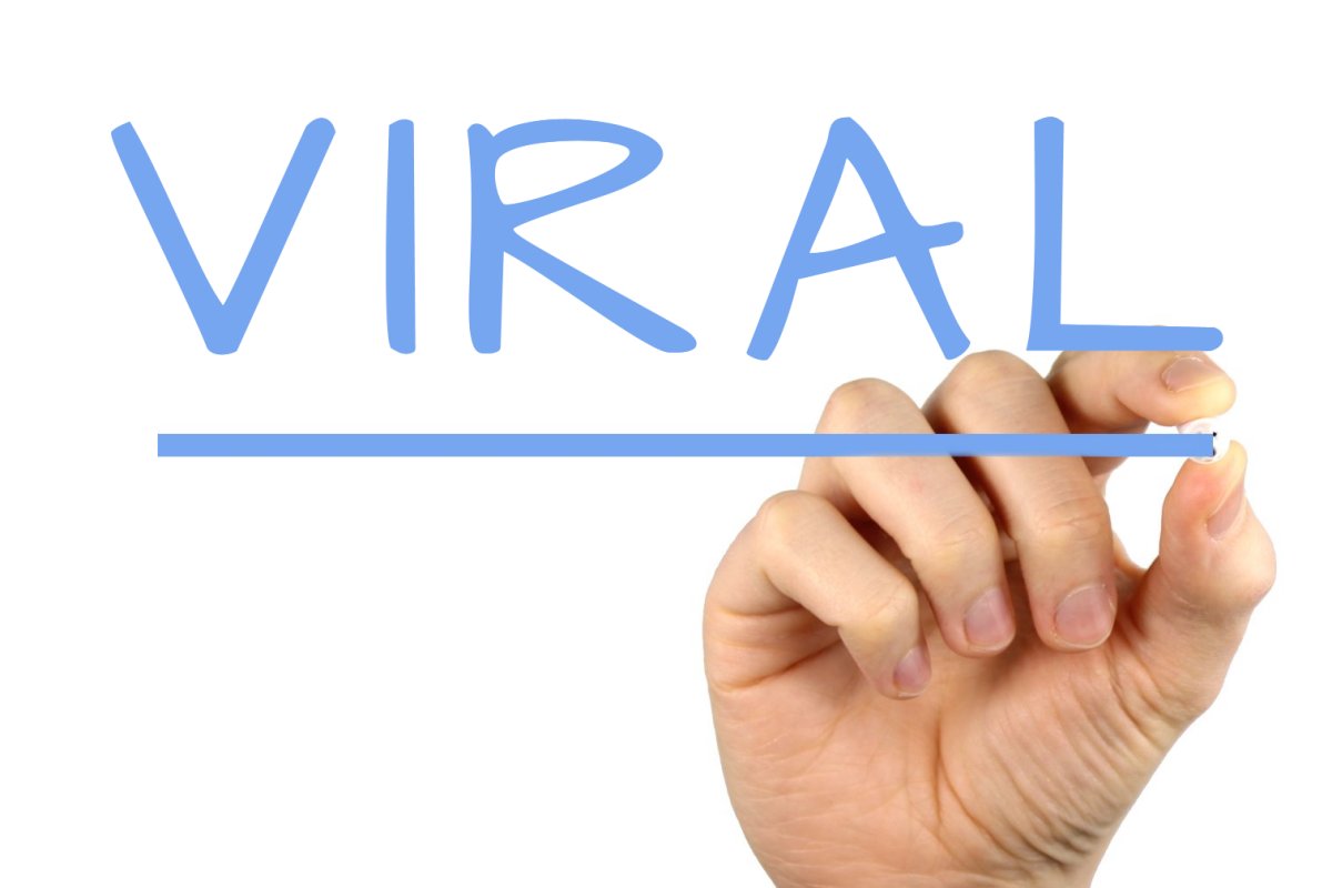 From Clicks to Shares: Decoding the Anatomy of Viral Content
